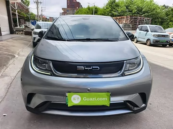 BYD dolphin
