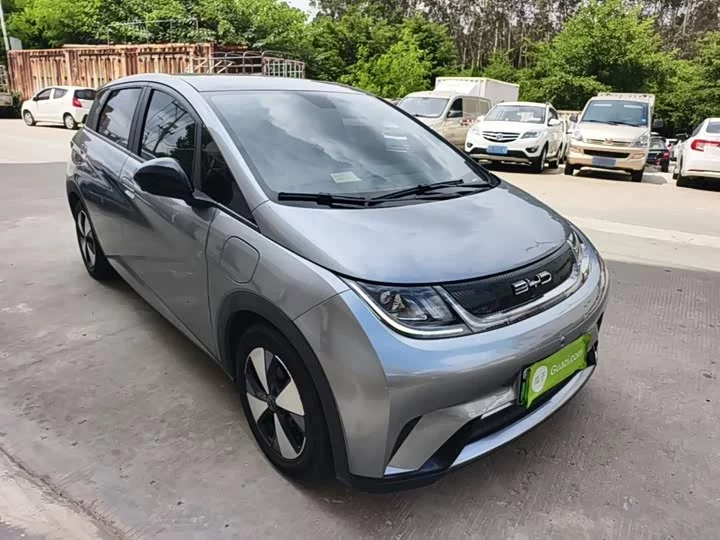 BYD dolphin