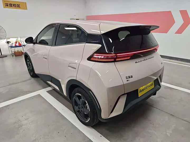 BYD seagull
