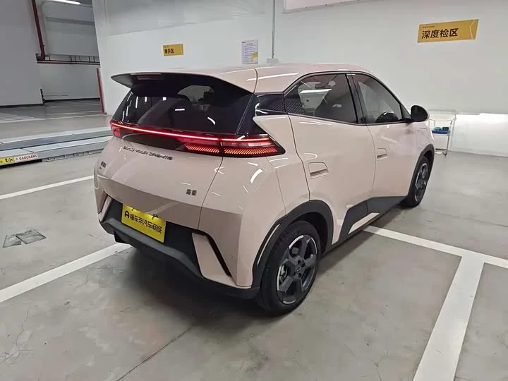 BYD seagull