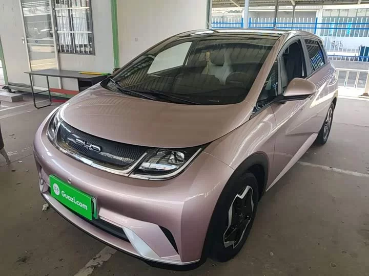 BYD dolphin