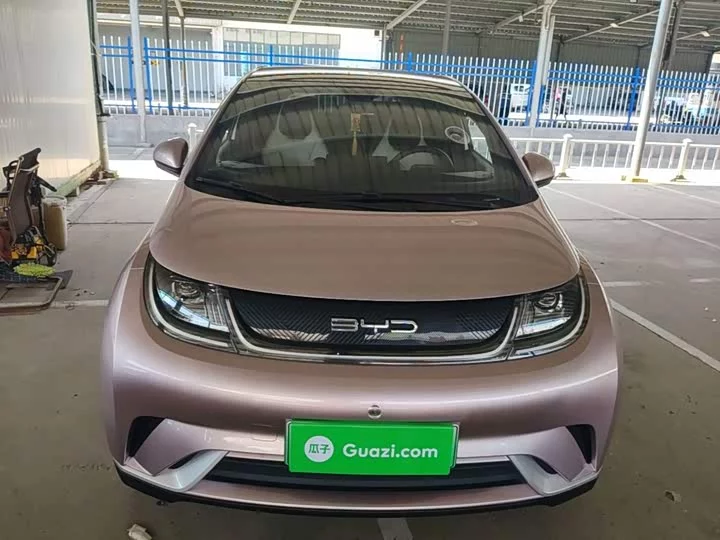 BYD dolphin