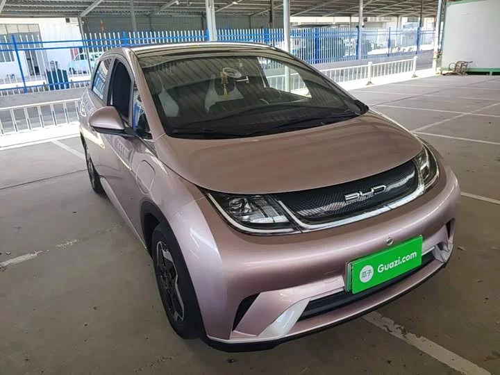 BYD dolphin