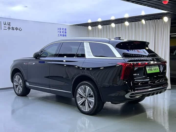 Hongqi E-HS9