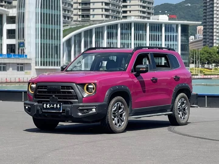Haval Big Dog DaGou
