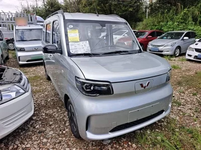 Wuling Zhiguang New Energy