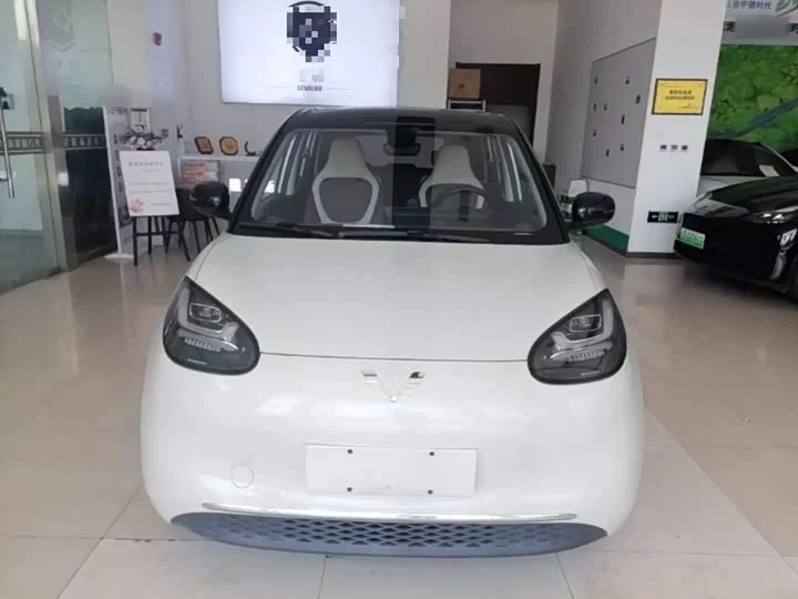 Wuling Bingo