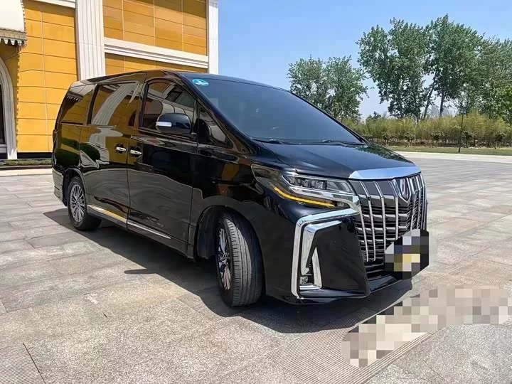 Toyota Elfa