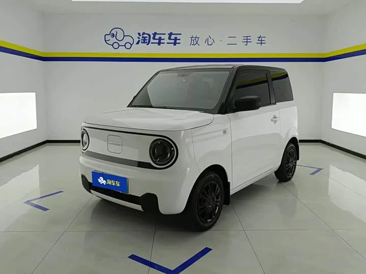 Geely panda