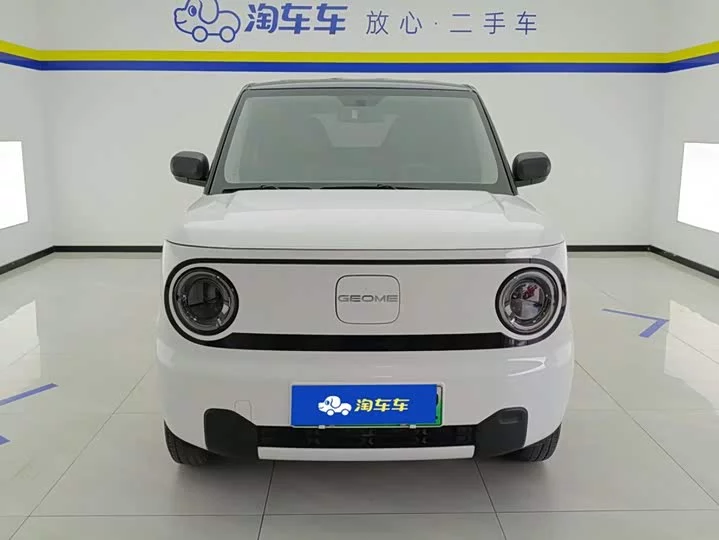 Geely panda