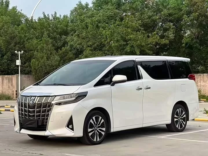 Toyota Elfa
