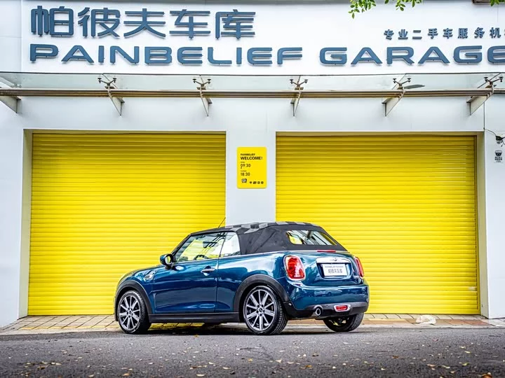 MINI 