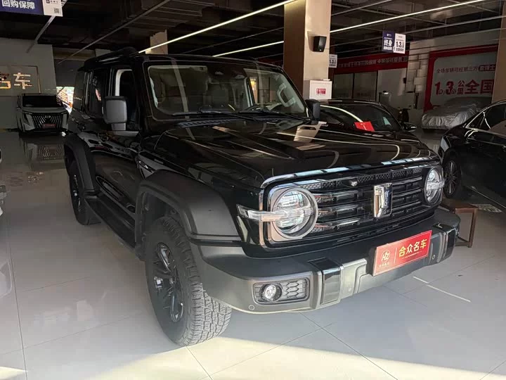 tank 300