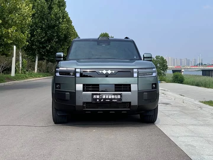 BYD Leopard Titanium 7