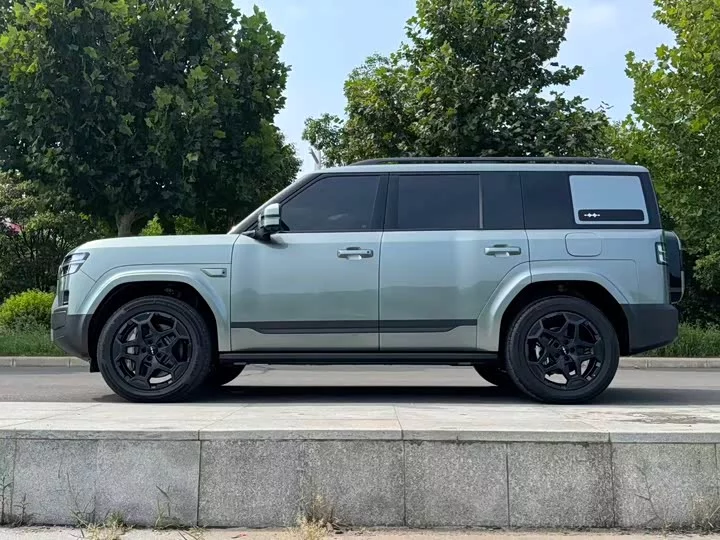 BYD Leopard Titanium 7