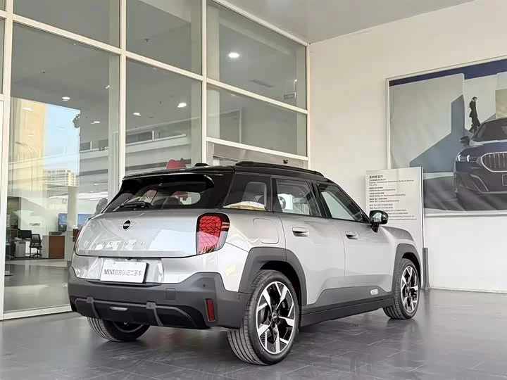 MINI ELECTRIC ACEMAN
