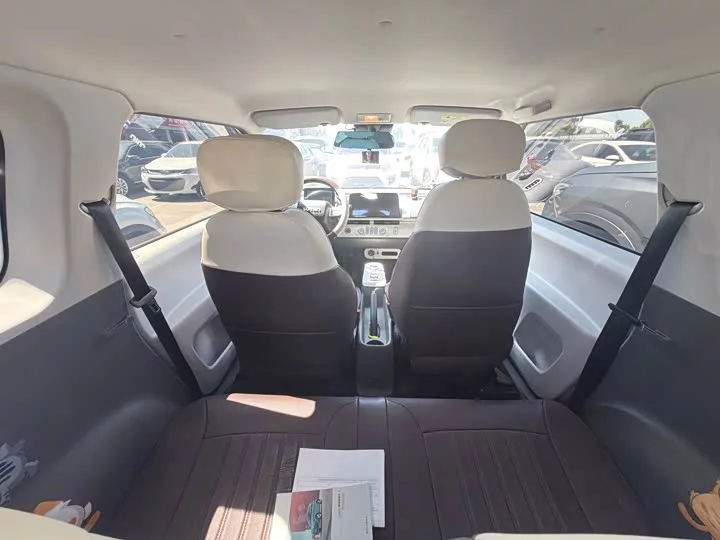 Changan Lumin