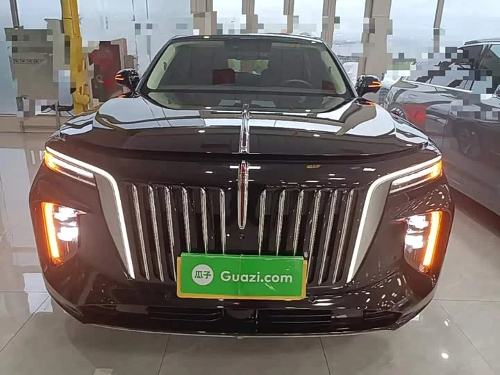 Hongqi E-HS9
