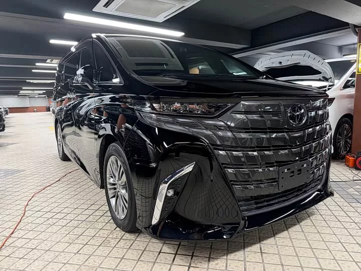 Toyota Elfa