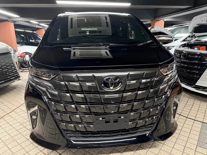 Toyota Elfa