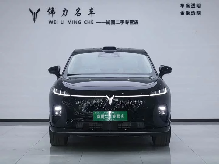 Lantu Automobile Lantu Zhiyin