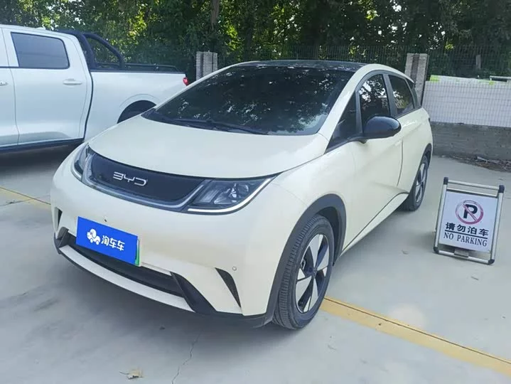 BYD dolphin