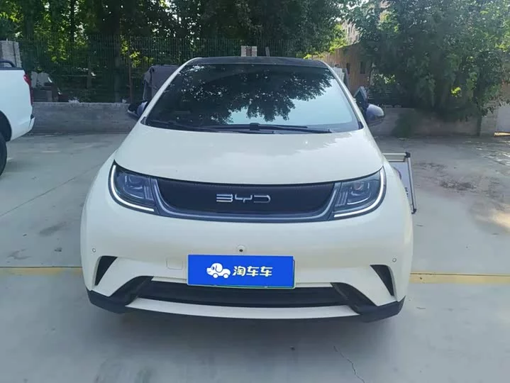 BYD dolphin