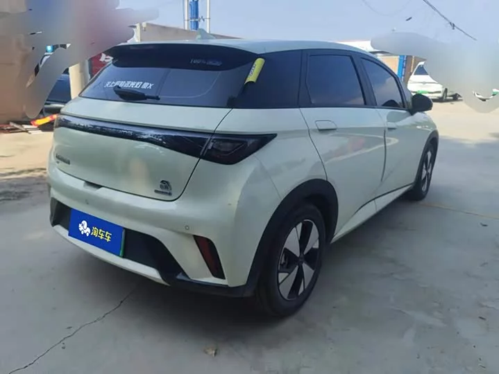 BYD dolphin