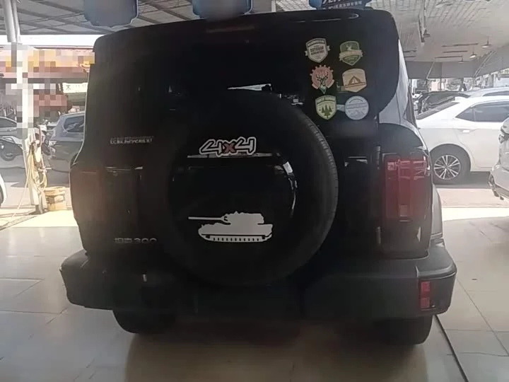tank 300