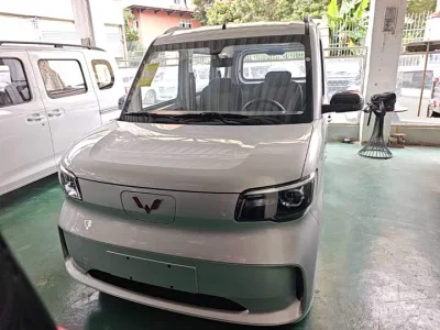 Wuling Zhiguang New Energy