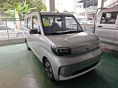 Wuling Zhiguang New Energy