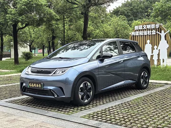 BYD dolphin