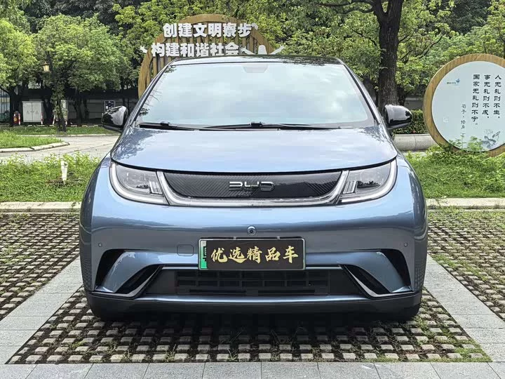 BYD dolphin