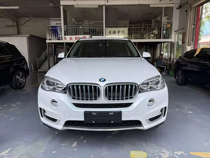 BMW X5 New Energy