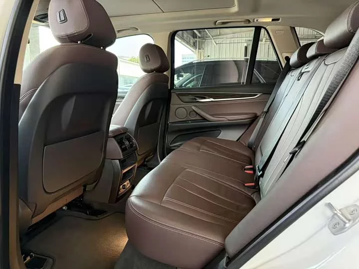 BMW X5 New Energy