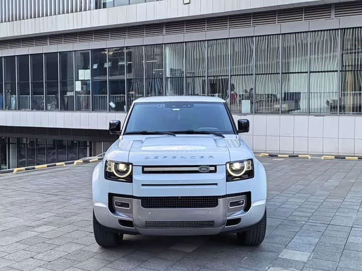 Land Rover guard