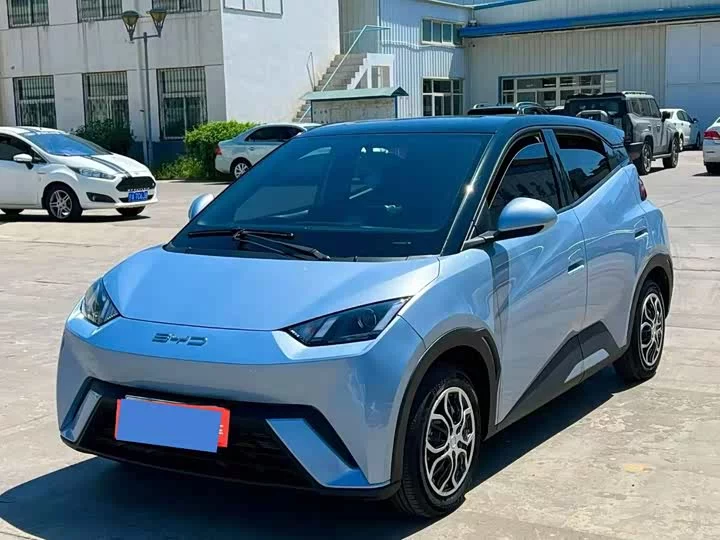 BYD seagull