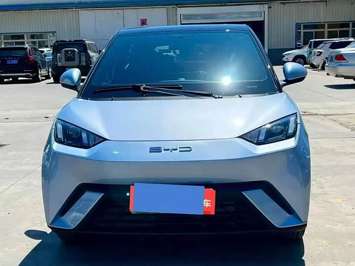 BYD seagull