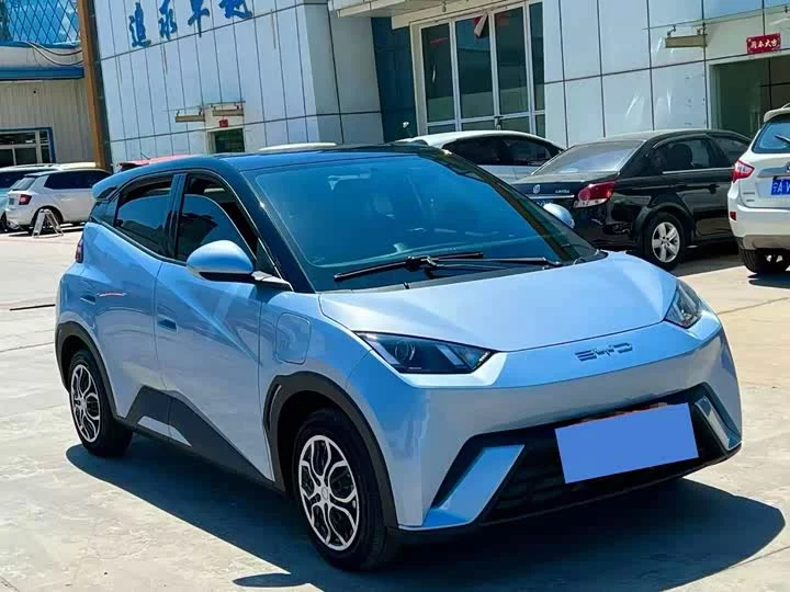 BYD seagull