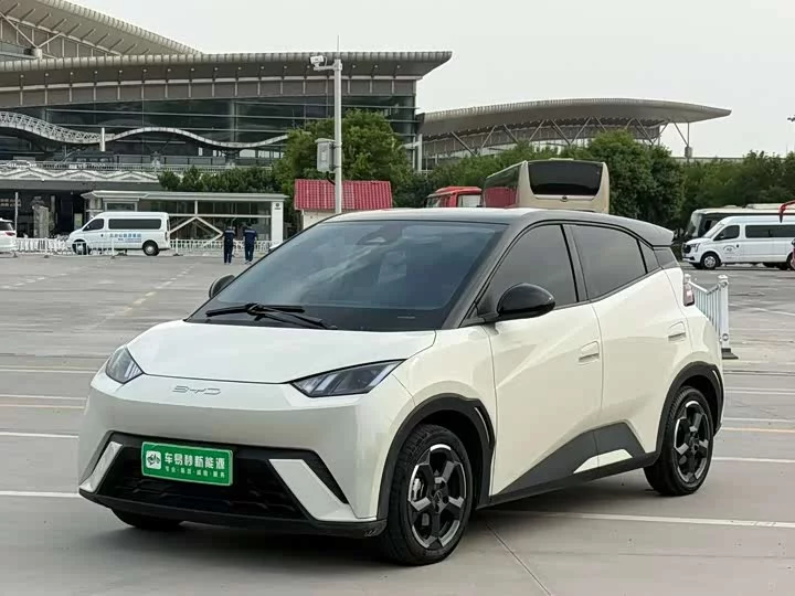 BYD seagull
