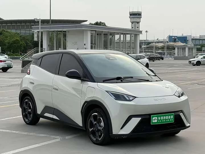 BYD seagull