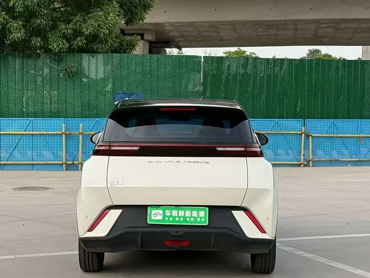 BYD seagull