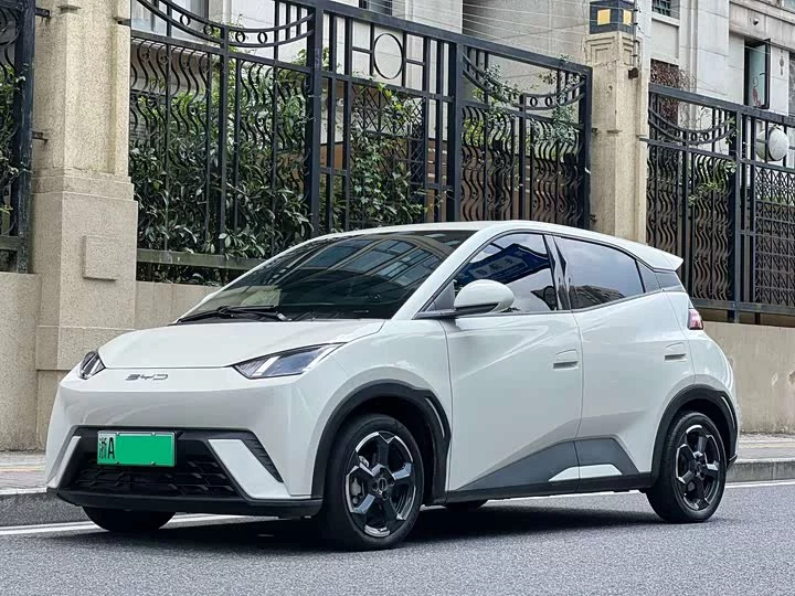 BYD seagull