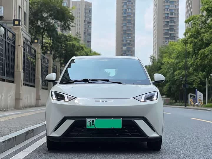 BYD seagull