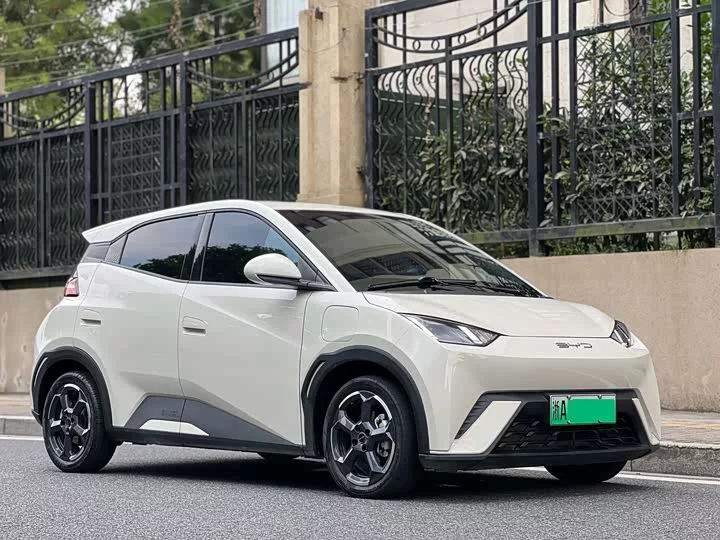 BYD seagull