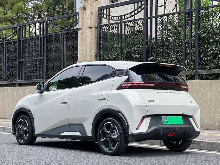 BYD seagull