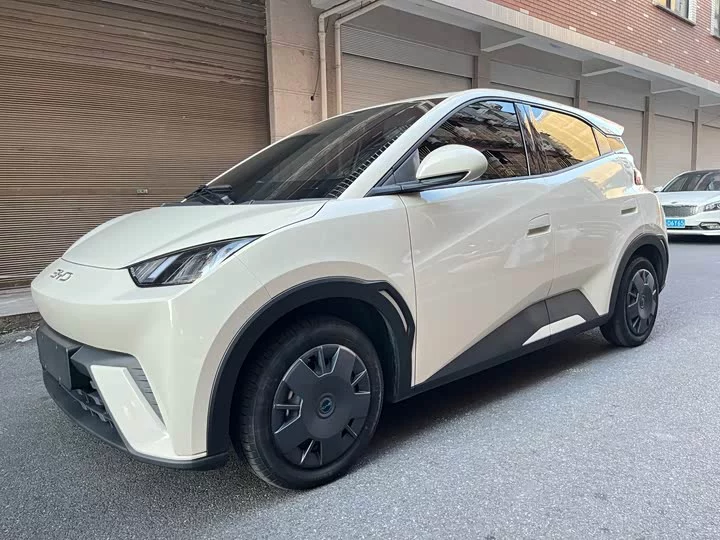 BYD seagull