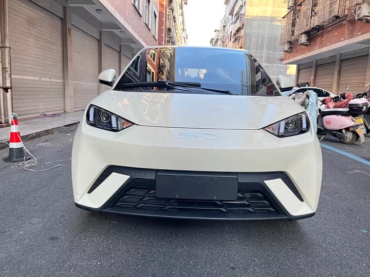 BYD seagull