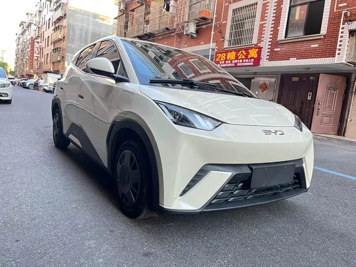 BYD seagull