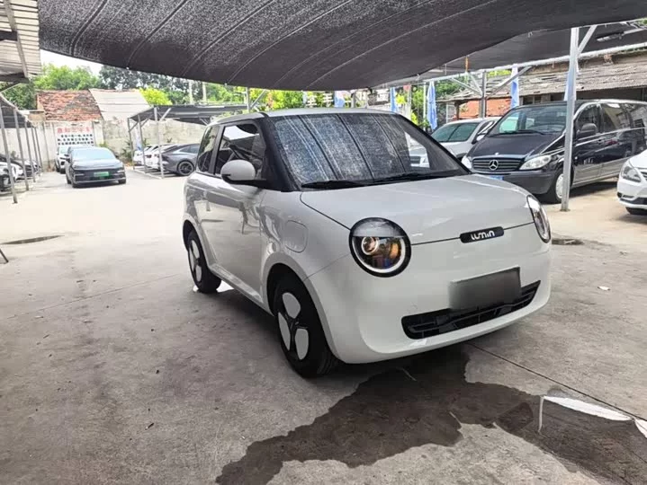 Changan Lumin